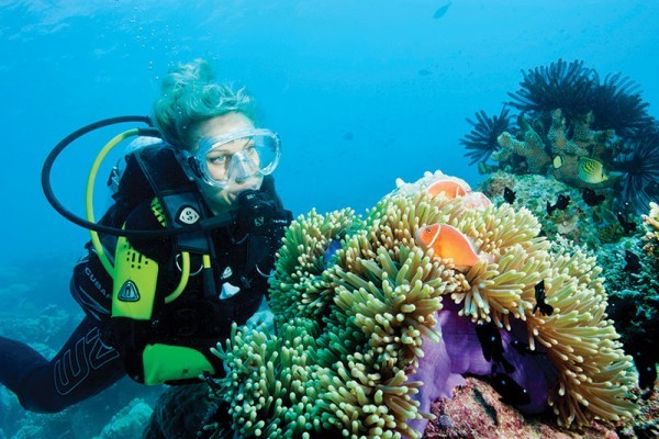 Buceo especialidad conservación de coral