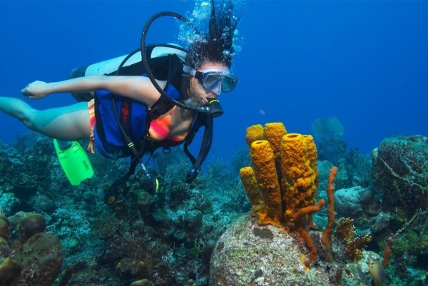 Buceo Scuba Diver