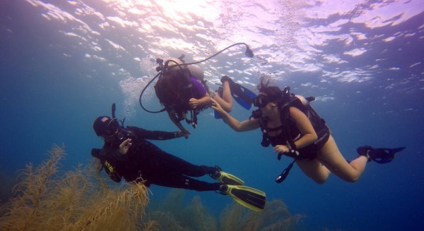 Discover Scuba Diving